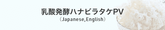 乳酸発酵ハナビラタケPV（Japanese,English）